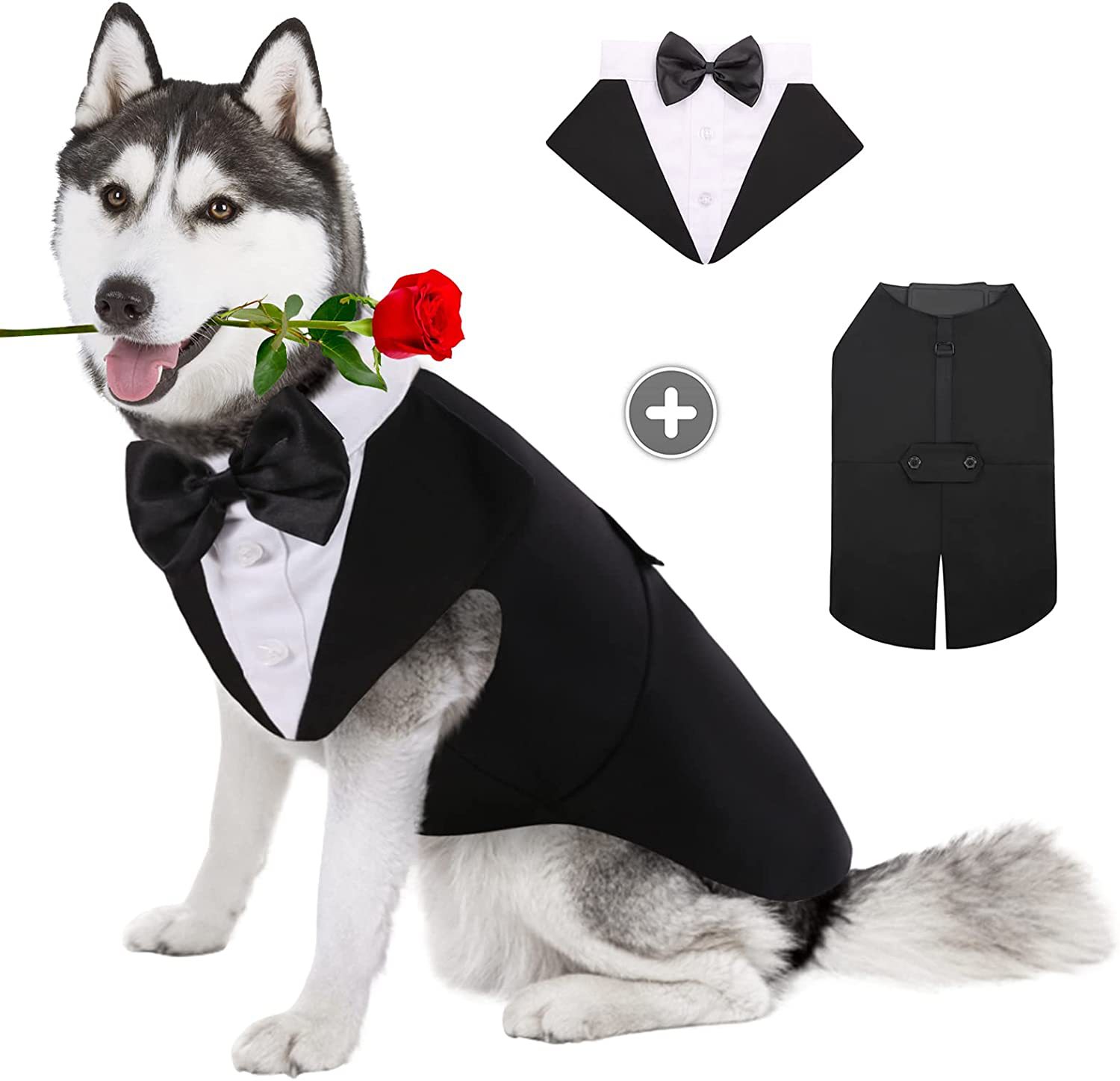 Suit Supply Wedding Party - Vestiti per cani da compagnia Sfilata