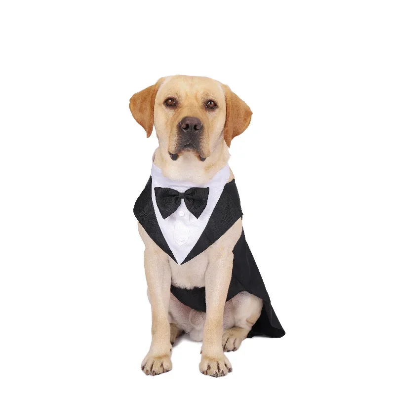 Abbigliamento per Cani: Camici - Suit Supply Wedding Party recensione e prezzo