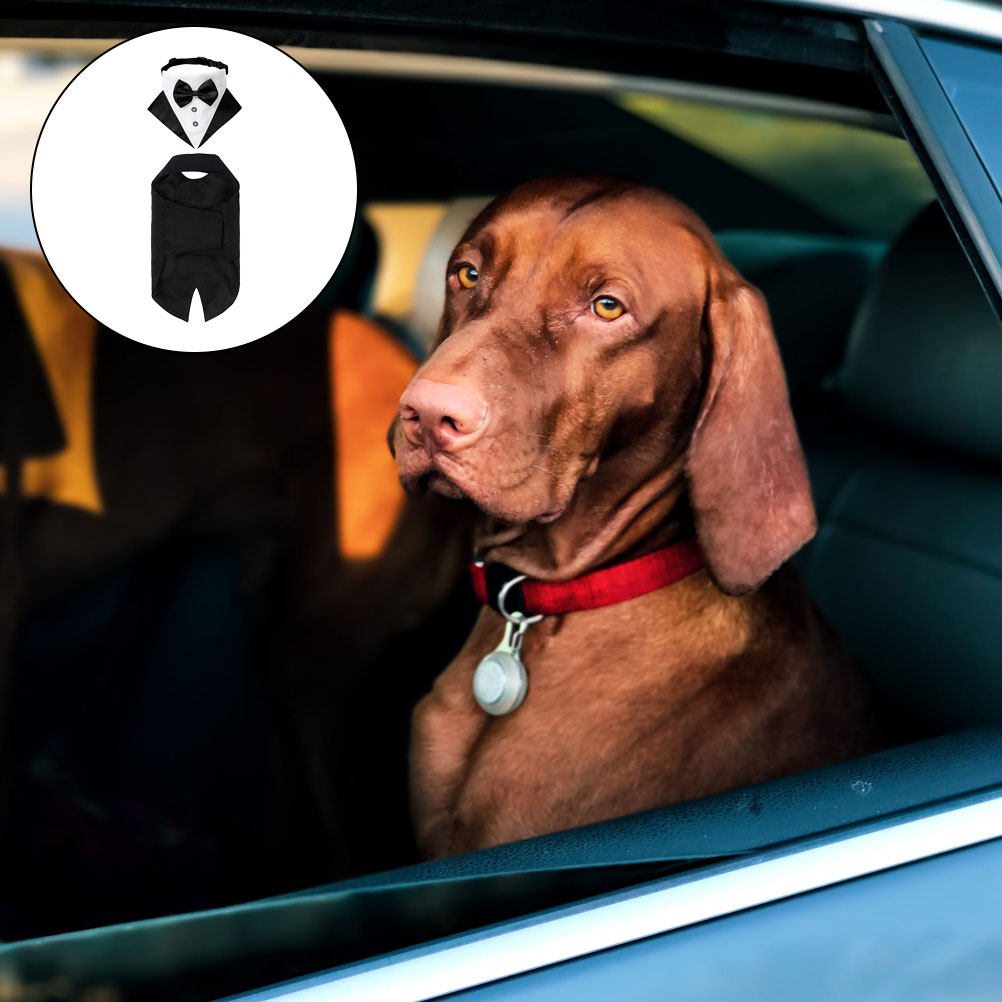 1 Set Completo per Cani con Ba - Suit Supply Wedding Party recensione e prezzo