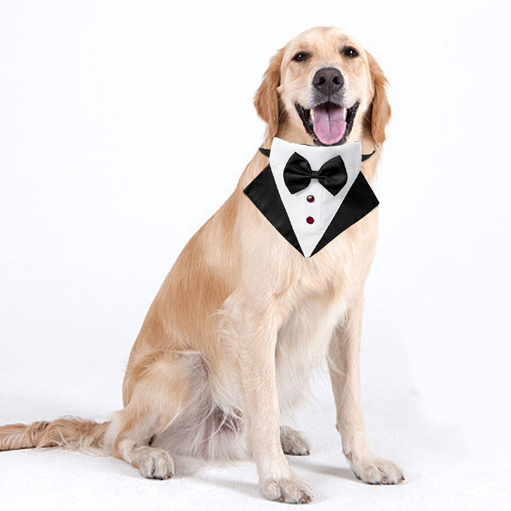 1 Set Completo per Cani con Ba - Suit Supply Wedding Party recensione e prezzo